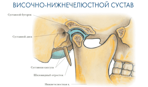 Что показывает МРТ челюстно лицевого сустава?