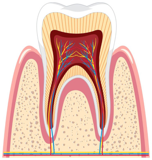 What is biodentine?